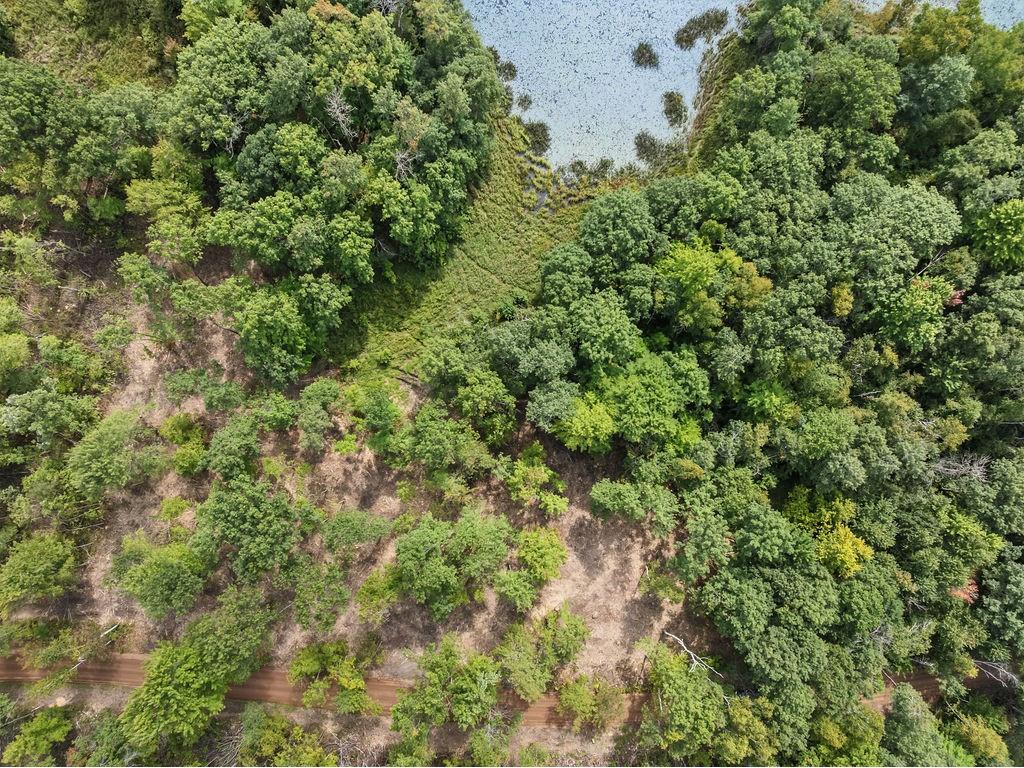 Lot 1 Ramer Road Bruce WI 54819 - Caley 1595257 image2