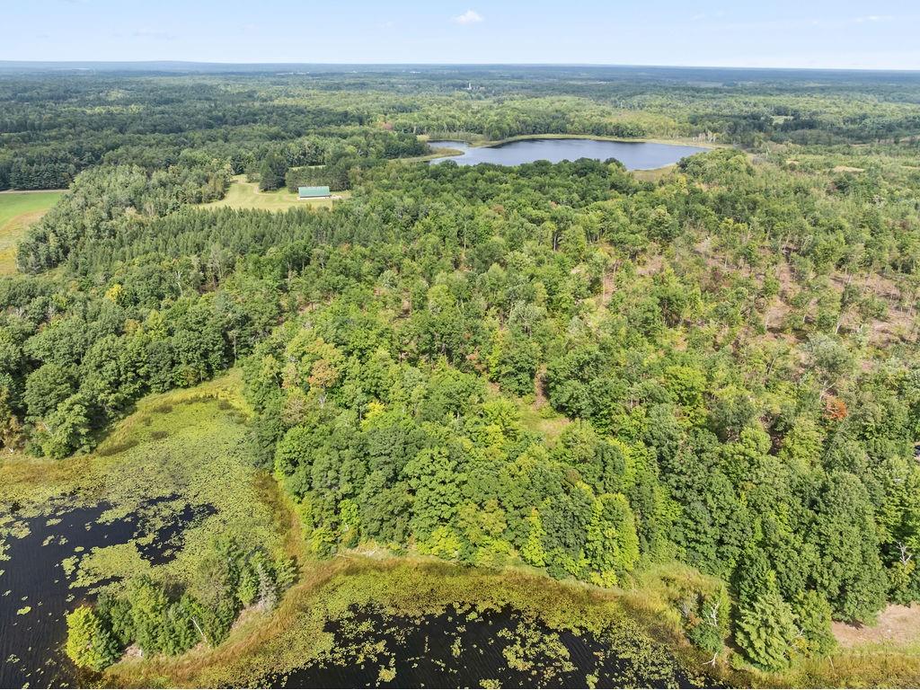 Lot 1 Ramer Road Bruce WI 54819 - Caley 1595257 image6