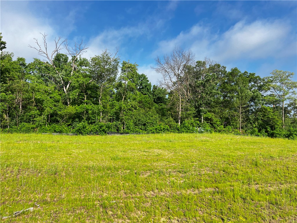 Lot 1 Richards Drive Altoona WI 54720 1580003 image1