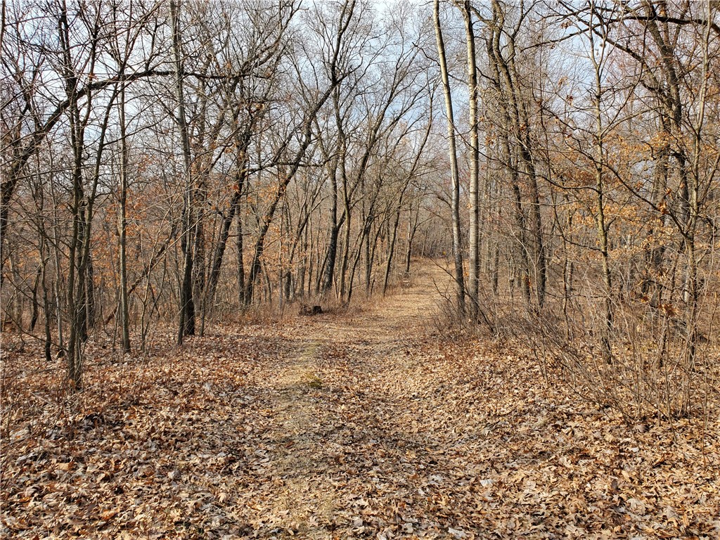 Lot 1 Schroeder Rd Whitehall WI 54773 1593323 image1