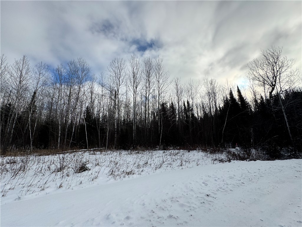 Lot 1 State Highway 70 Loretta WI 54896 1587622 image5