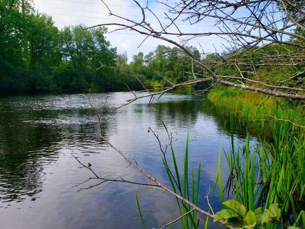 Lot 1 State Road 27/70 Couderay WI 54828 - Couderay 1591316 image1