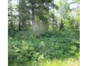 Lot 1 State Road 27/70 Couderay WI 54828 - Couderay 1591316 image7