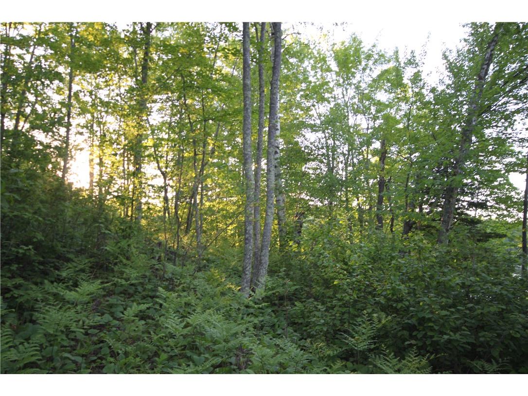 Lot 1 Timber Wolf Drive Springbrook WI 54875 - Devils 1596740 image10