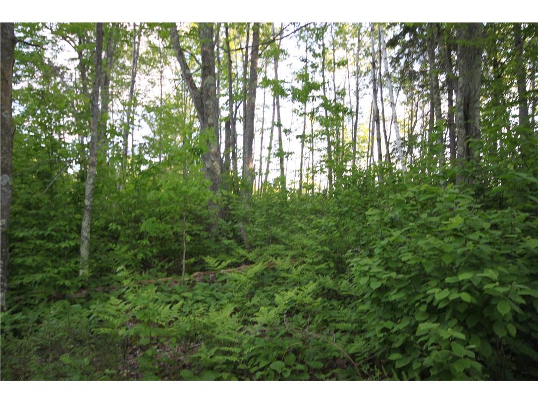 Lot 1 Timber Wolf Drive Springbrook WI 54875 - Devils 1596740 image11