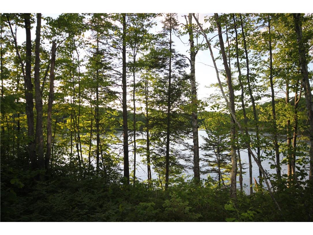 Lot 1 Timber Wolf Drive Springbrook WI 54875 - Devils 1596740 image12