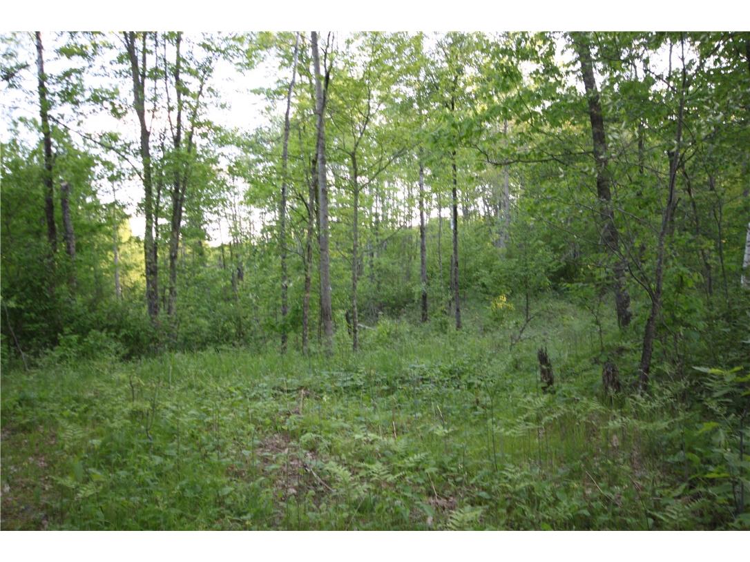 Lot 1 Timber Wolf Drive Springbrook WI 54875 - Devils 1596740 image3