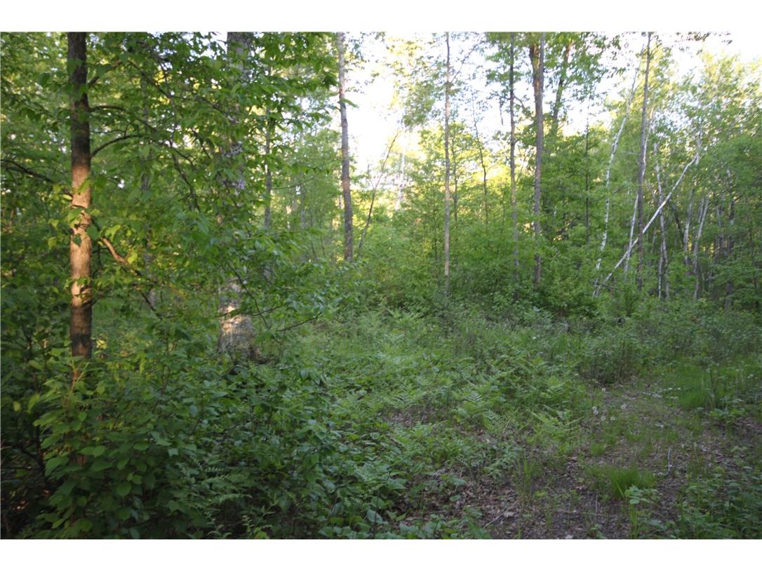 Lot 1 Timber Wolf Drive Springbrook WI 54875 - Devils 1596740 image4