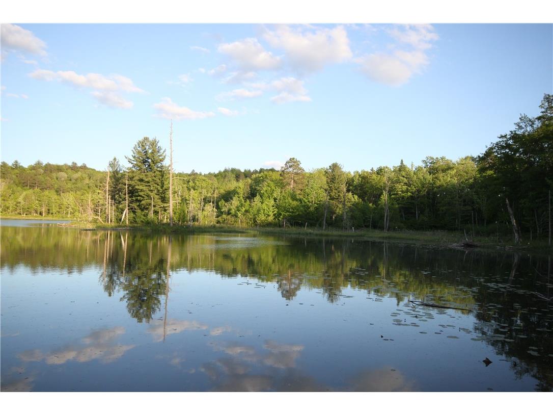 Lot 1 Timber Wolf Drive Springbrook WI 54875 - Devils 1596740 image5