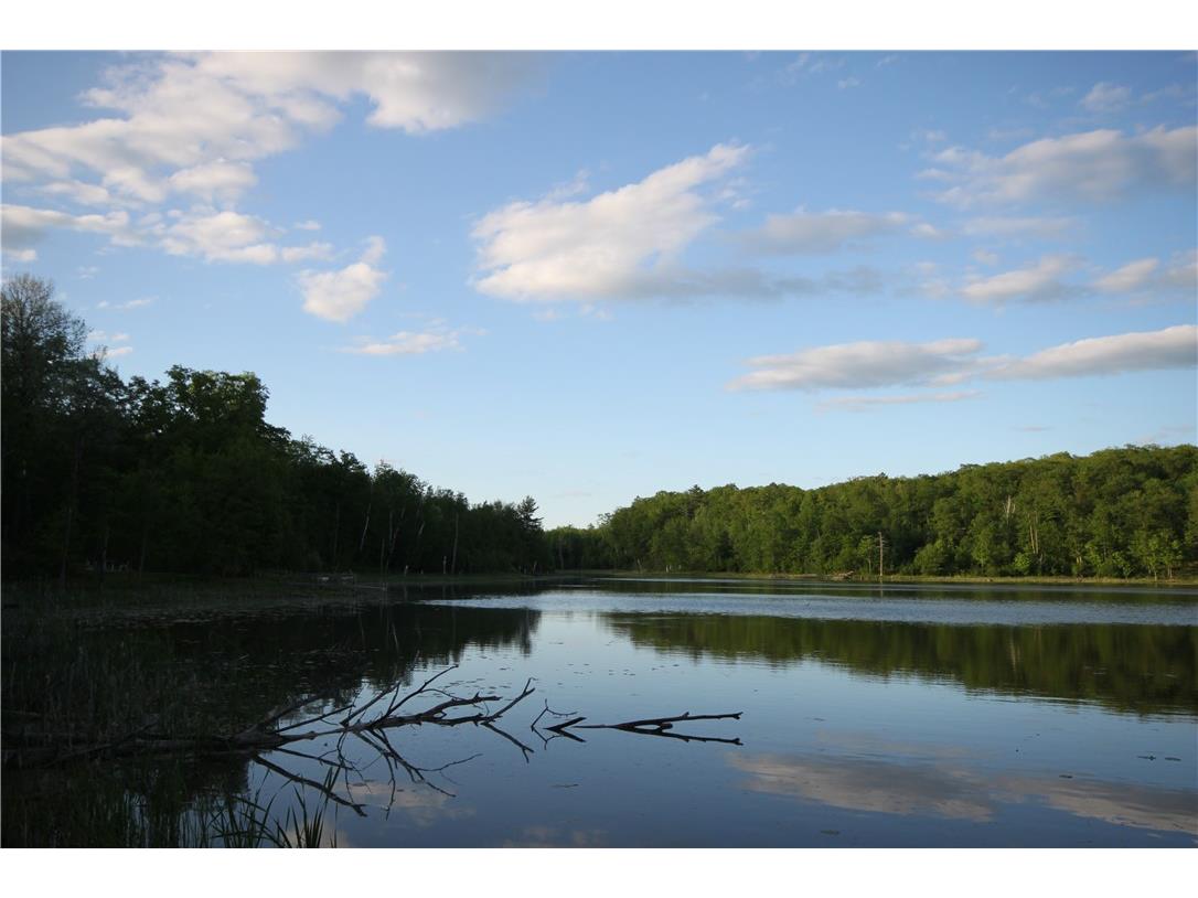 Lot 1 Timber Wolf Drive Springbrook WI 54875 - Devils 1596740 image8