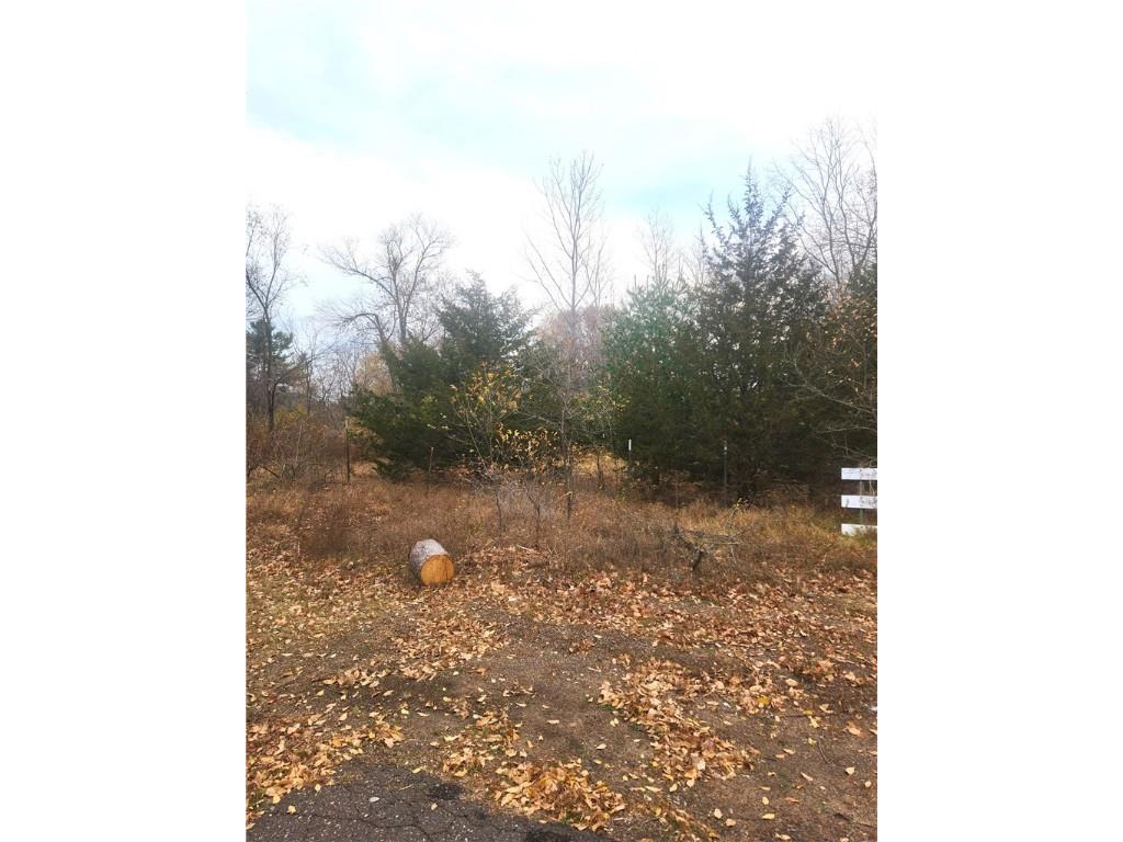 Lot 1 W Leonard Street Chetek WI 54728 1586953 image1