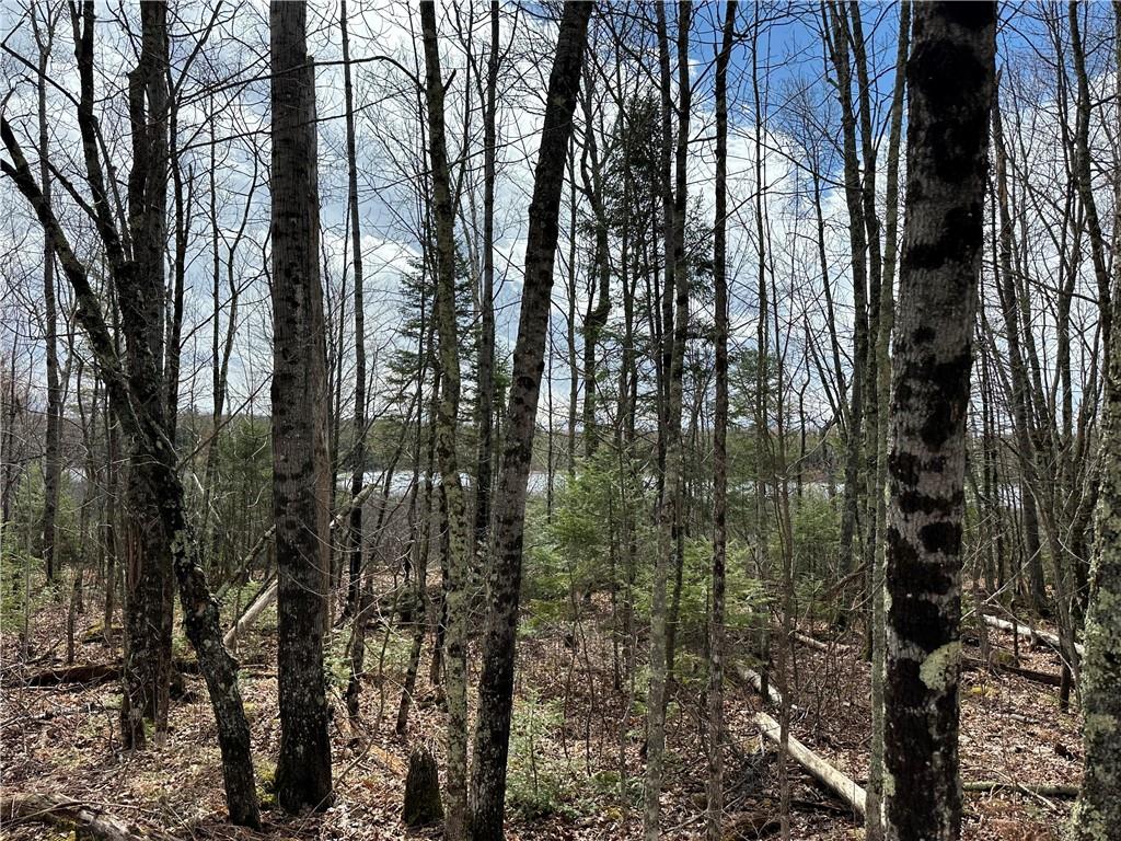 Lot 1 W River Road Hayward WI 54843 - Moose Lake 1581507 image1