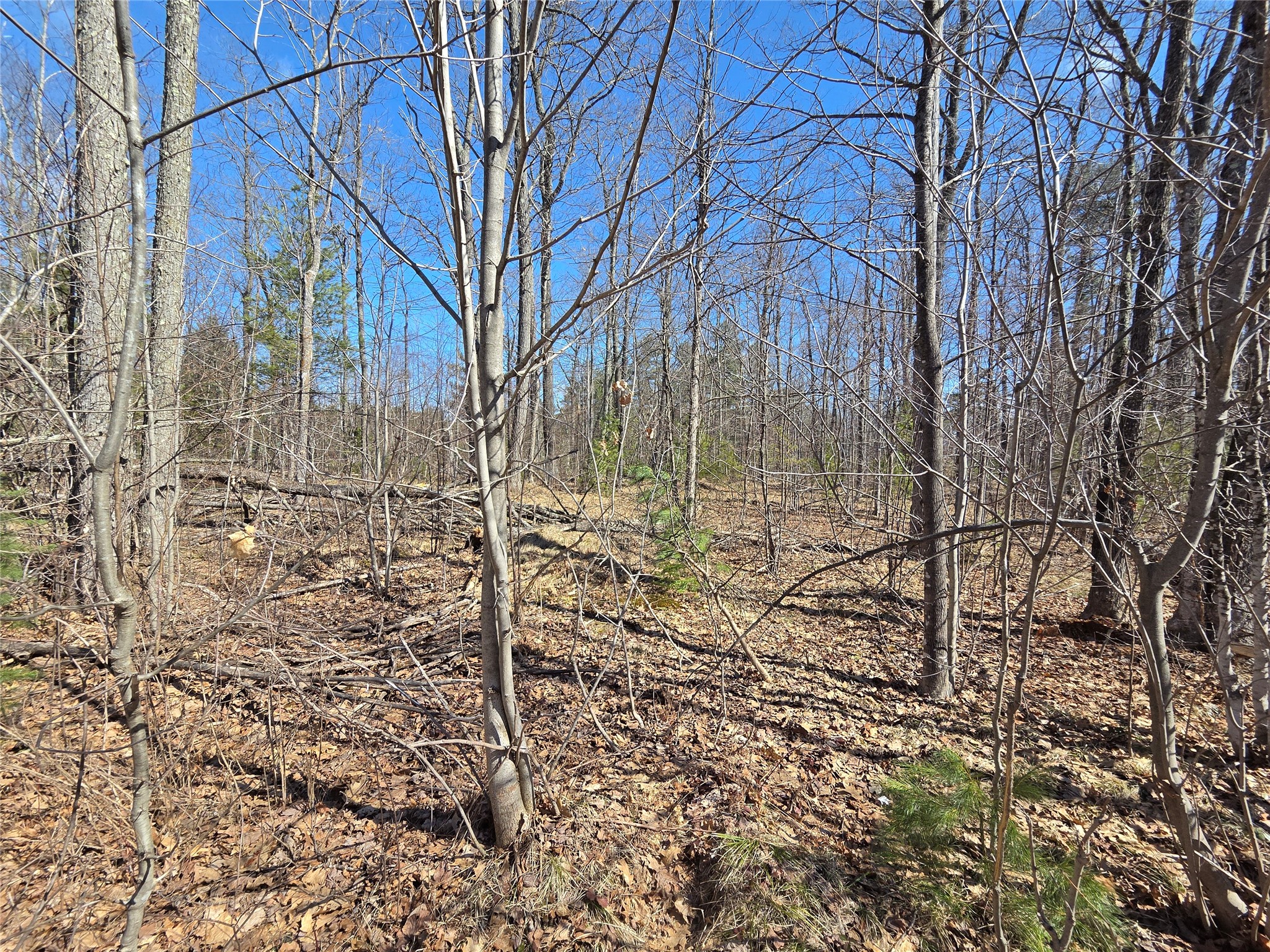 Lot 1 W South Shore Rd Hayward WI 54843 - Round Lake 1599896 image10
