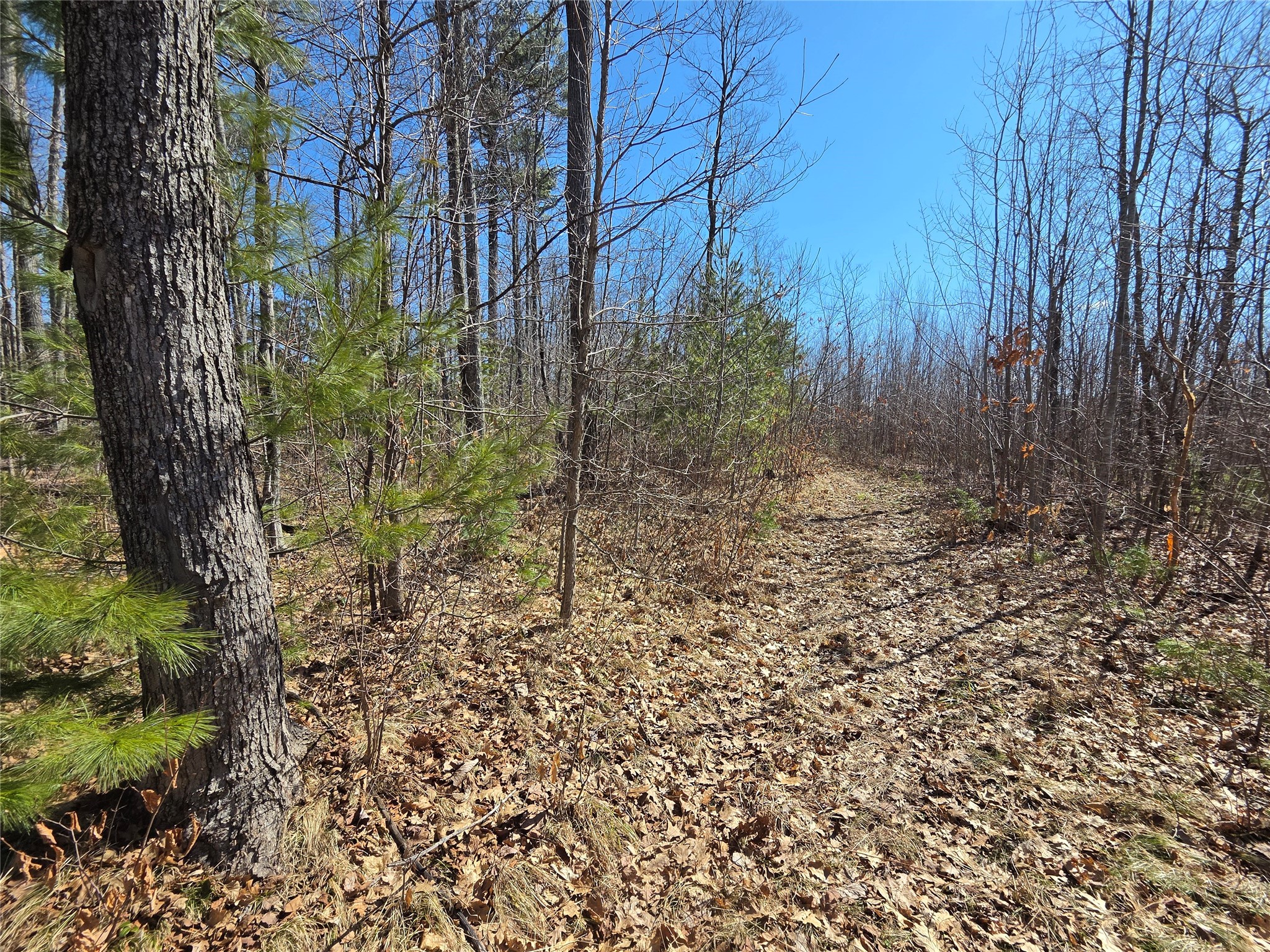 Lot 1 W South Shore Rd Hayward WI 54843 - Round Lake 1599896 image11