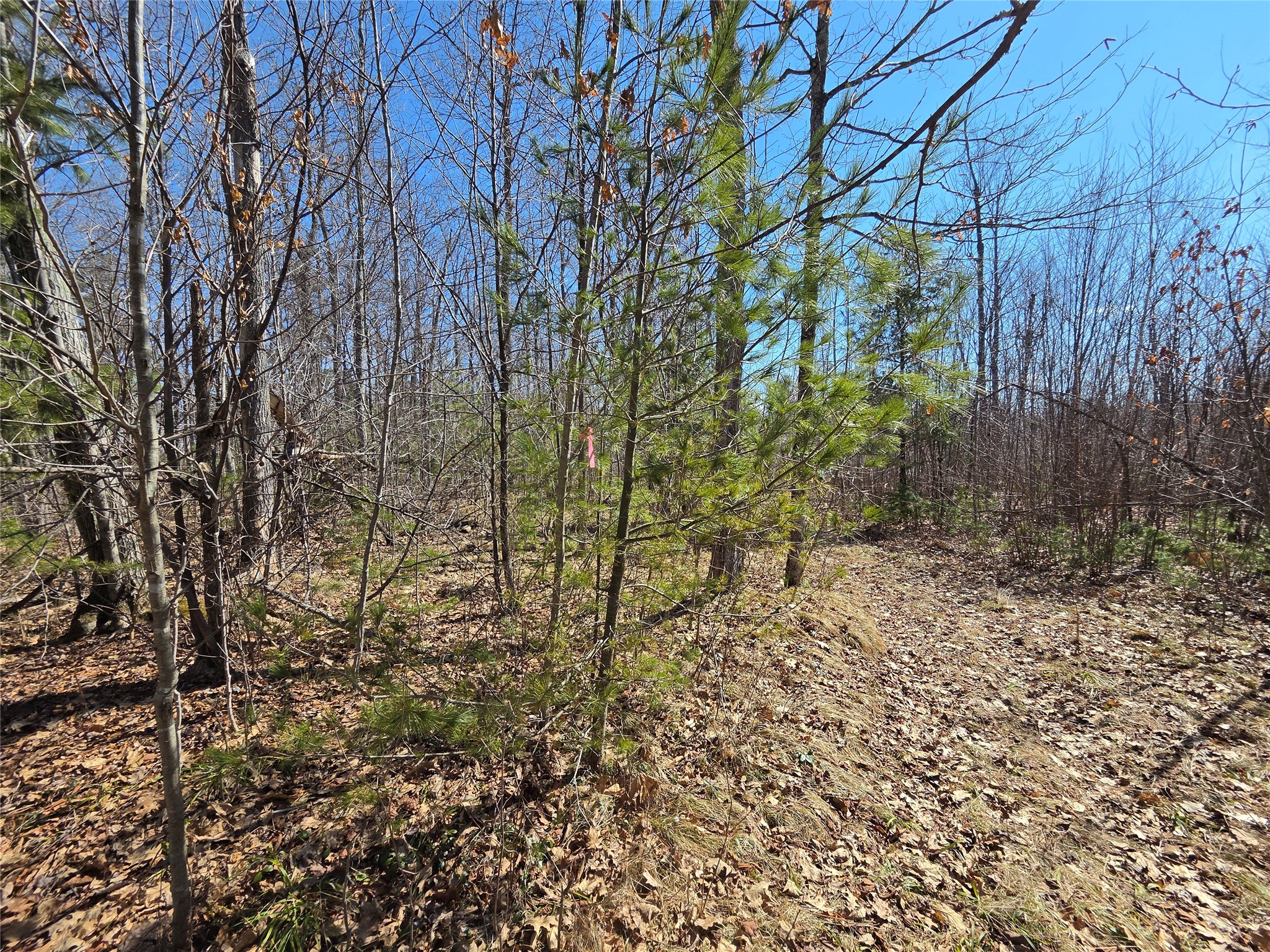 Lot 1 W South Shore Rd Hayward WI 54843 - Round Lake 1599896 image12