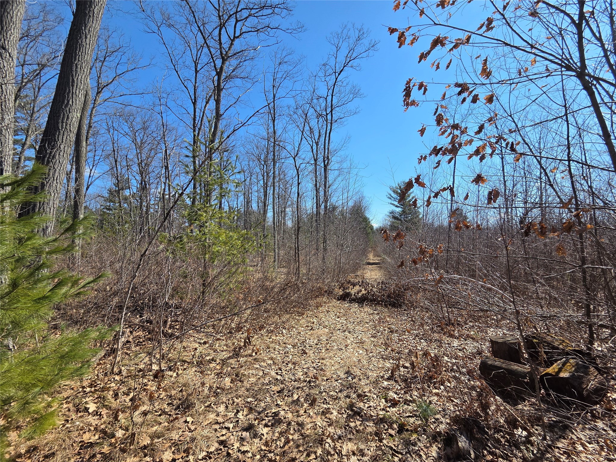 Lot 1 W South Shore Rd Hayward WI 54843 - Round Lake 1599896 image13