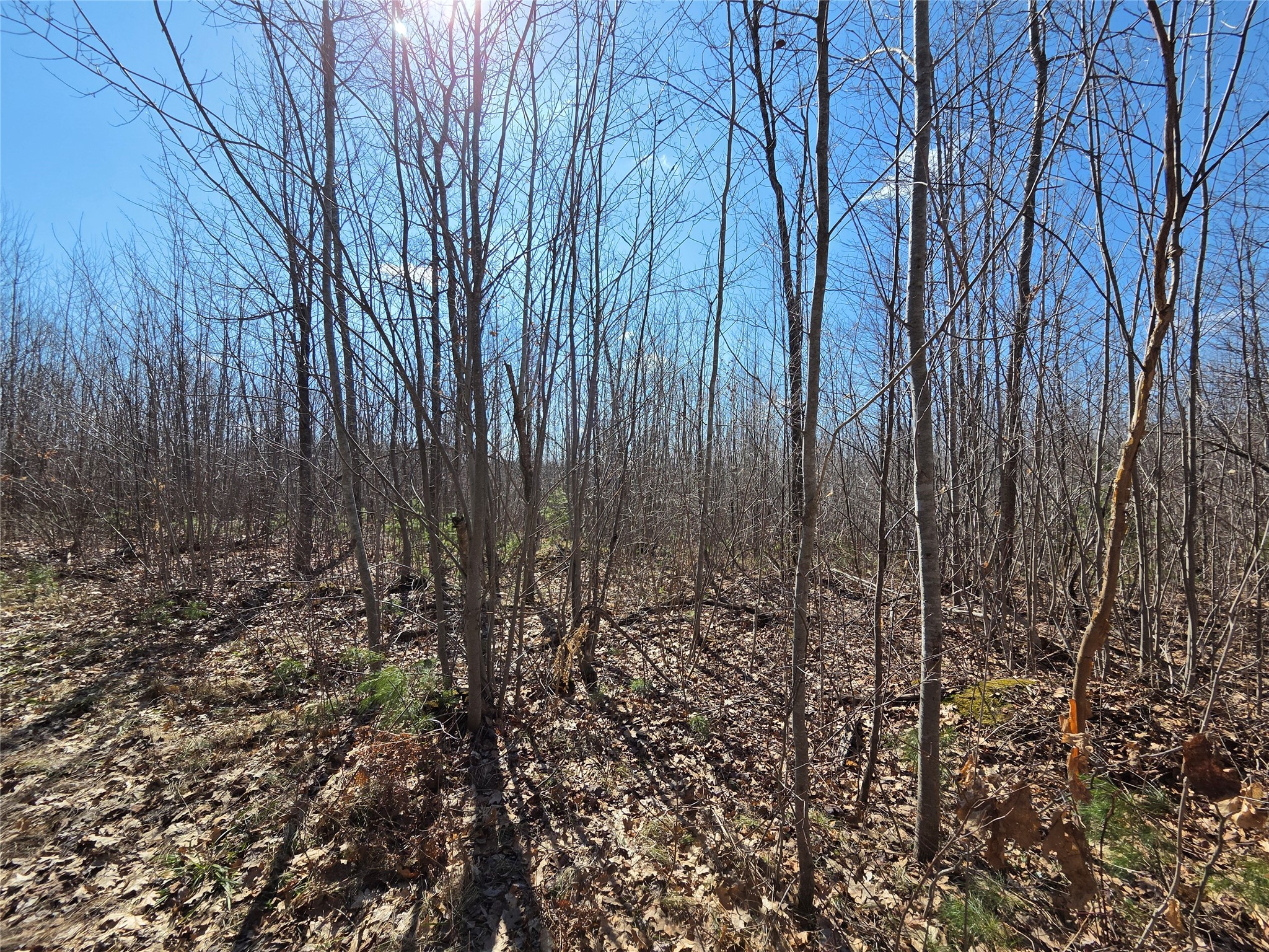 Lot 1 W South Shore Rd Hayward WI 54843 - Round Lake 1599896 image14