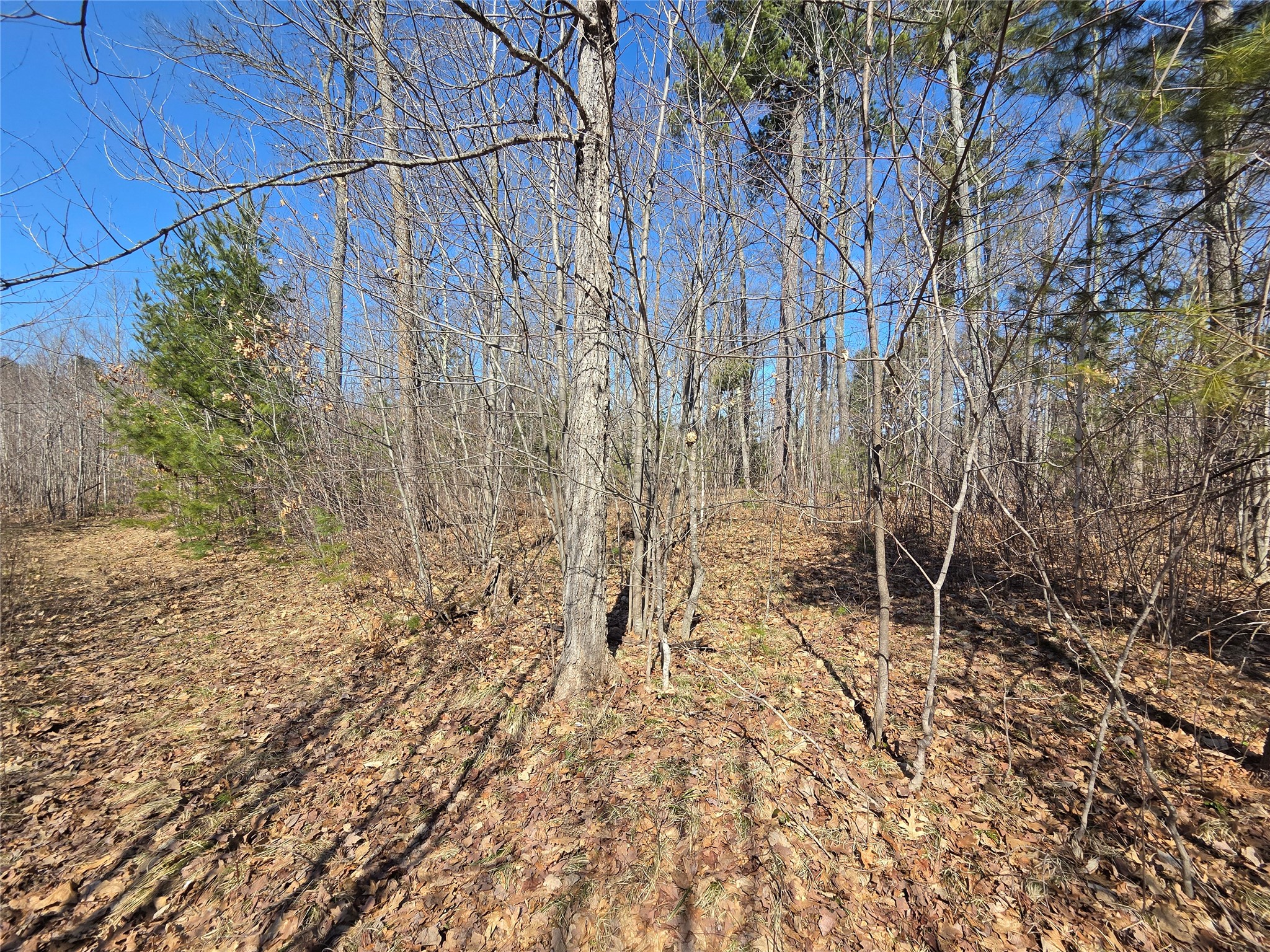 Lot 1 W South Shore Rd Hayward WI 54843 - Round Lake 1599896 image15