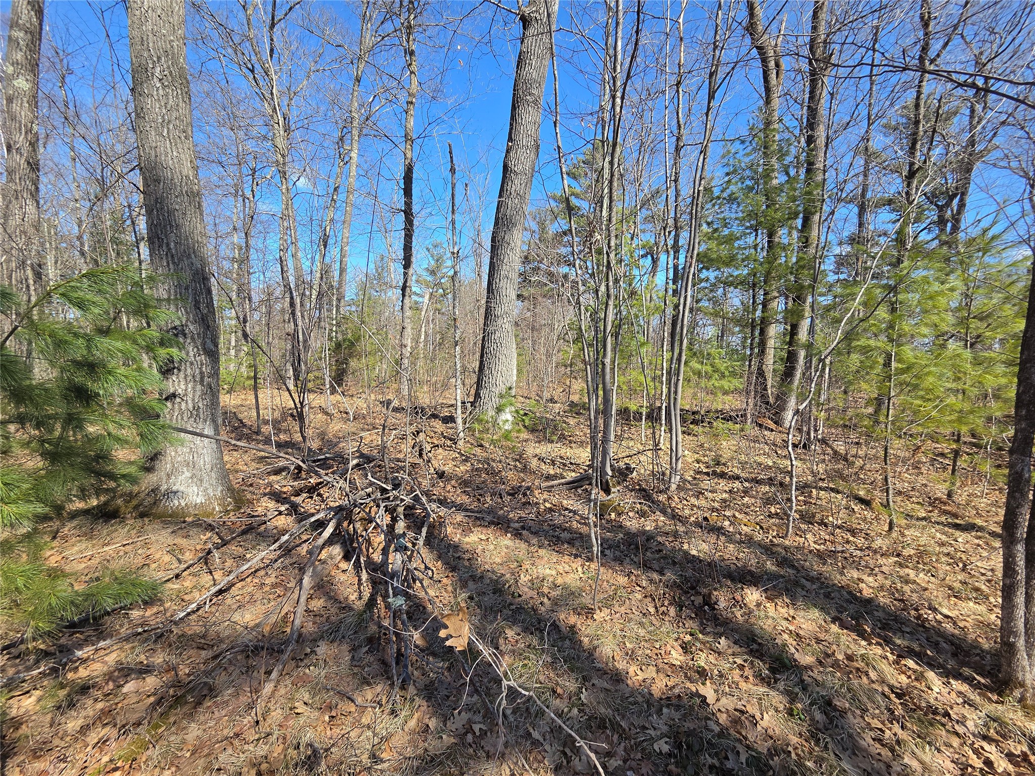 Lot 1 W South Shore Rd Hayward WI 54843 - Round Lake 1599896 image16