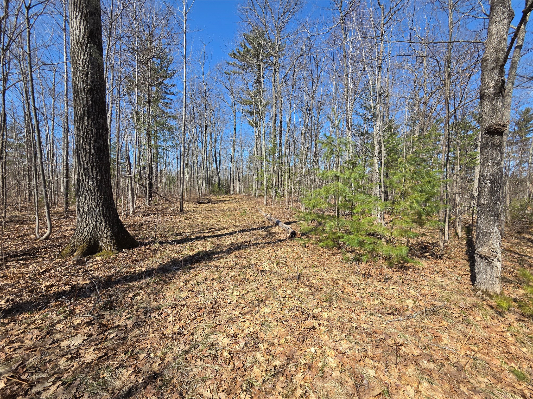 Lot 1 W South Shore Rd Hayward WI 54843 - Round Lake 1599896 image17