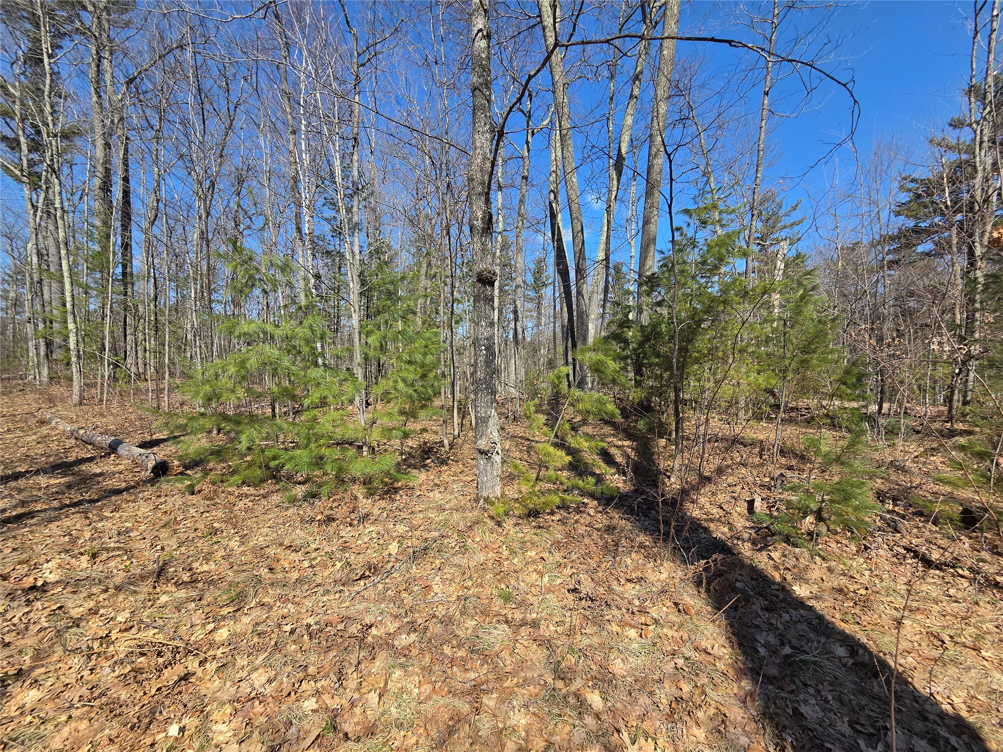 Lot 1 W South Shore Rd Hayward WI 54843 - Round Lake 1599896 image18