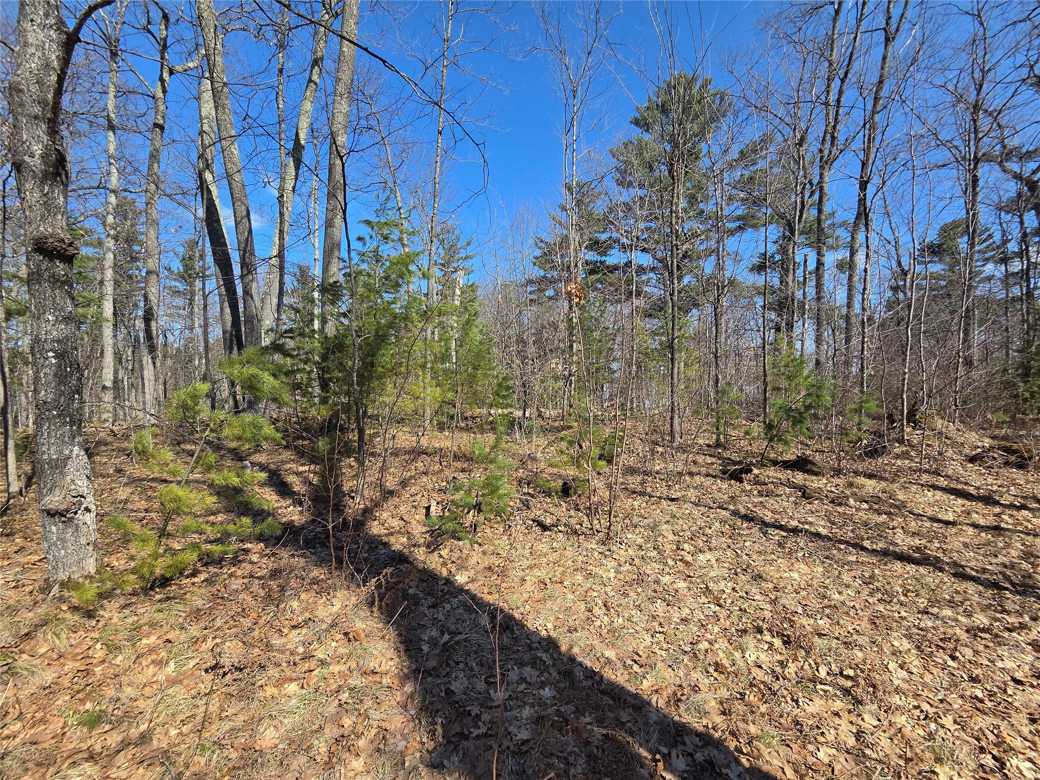 Lot 1 W South Shore Rd Hayward WI 54843 - Round Lake 1599896 image19