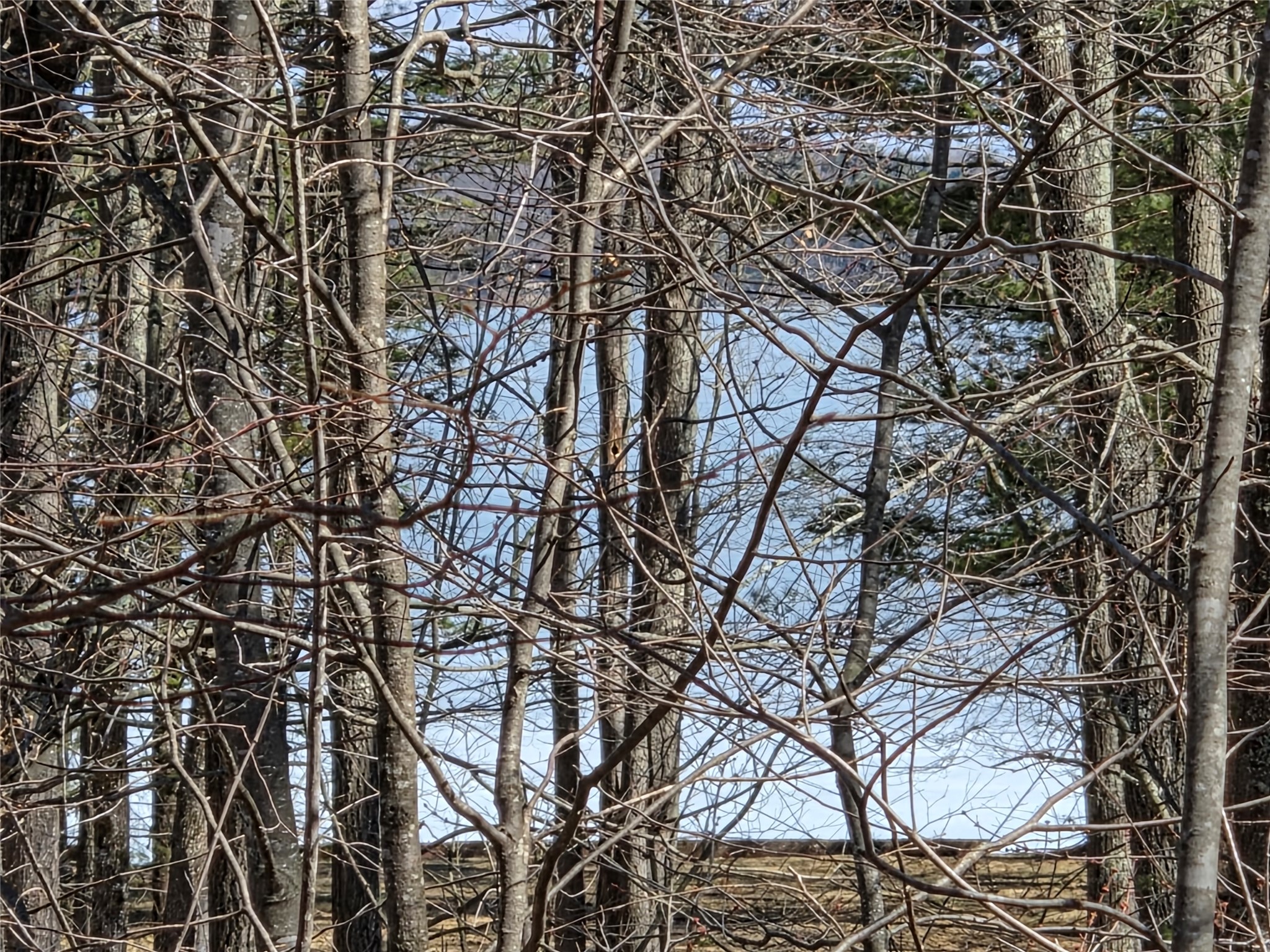 Lot 1 W South Shore Rd Hayward WI 54843 - Round Lake 1599896 image2