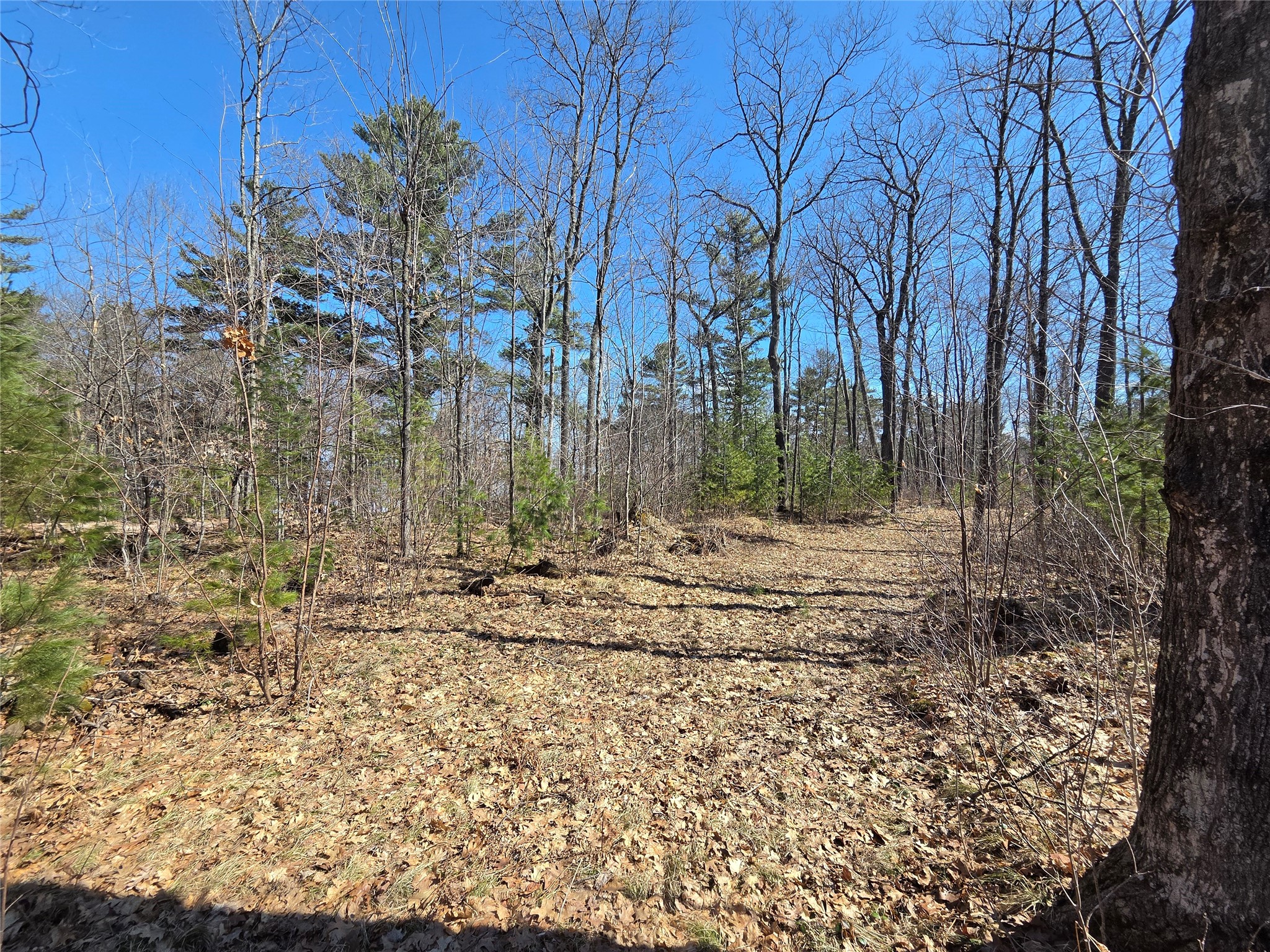 Lot 1 W South Shore Rd Hayward WI 54843 - Round Lake 1599896 image20