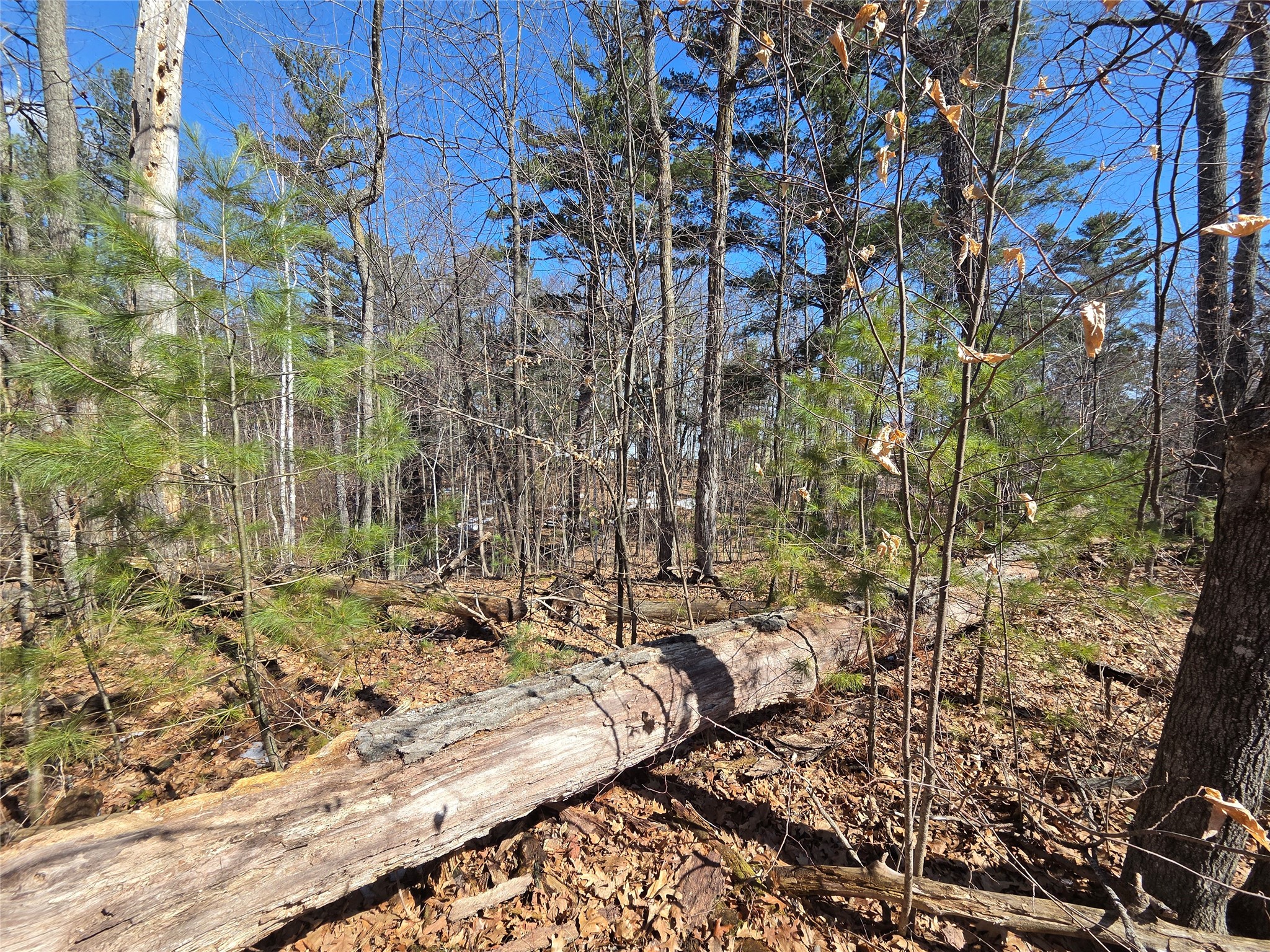 Lot 1 W South Shore Rd Hayward WI 54843 - Round Lake 1599896 image21