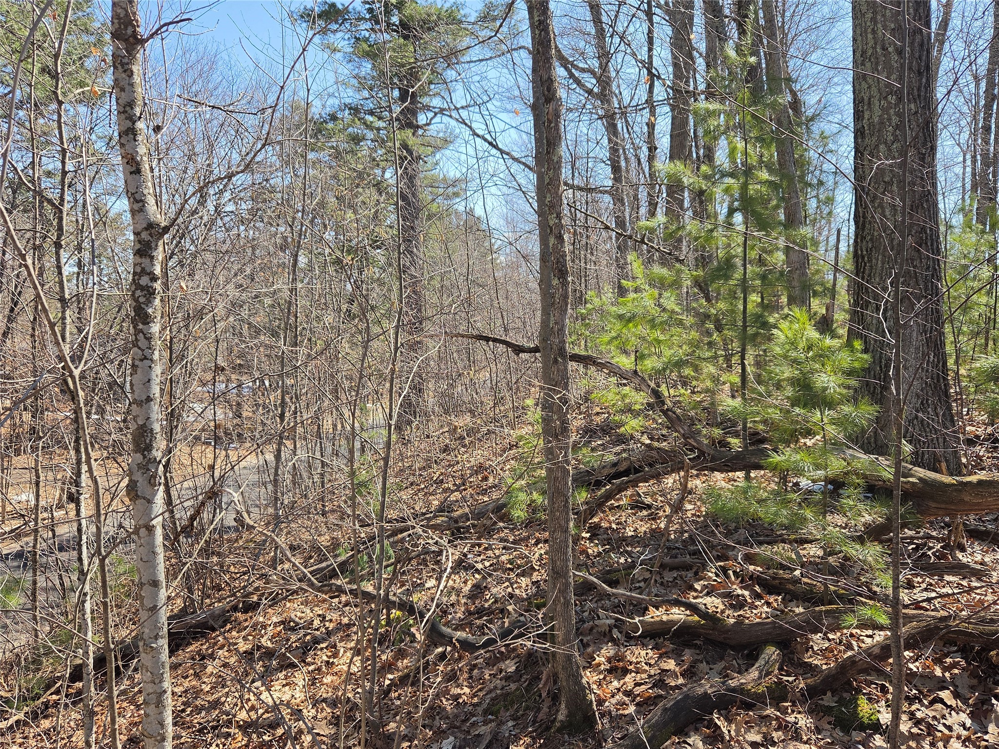 Lot 1 W South Shore Rd Hayward WI 54843 - Round Lake 1599896 image26