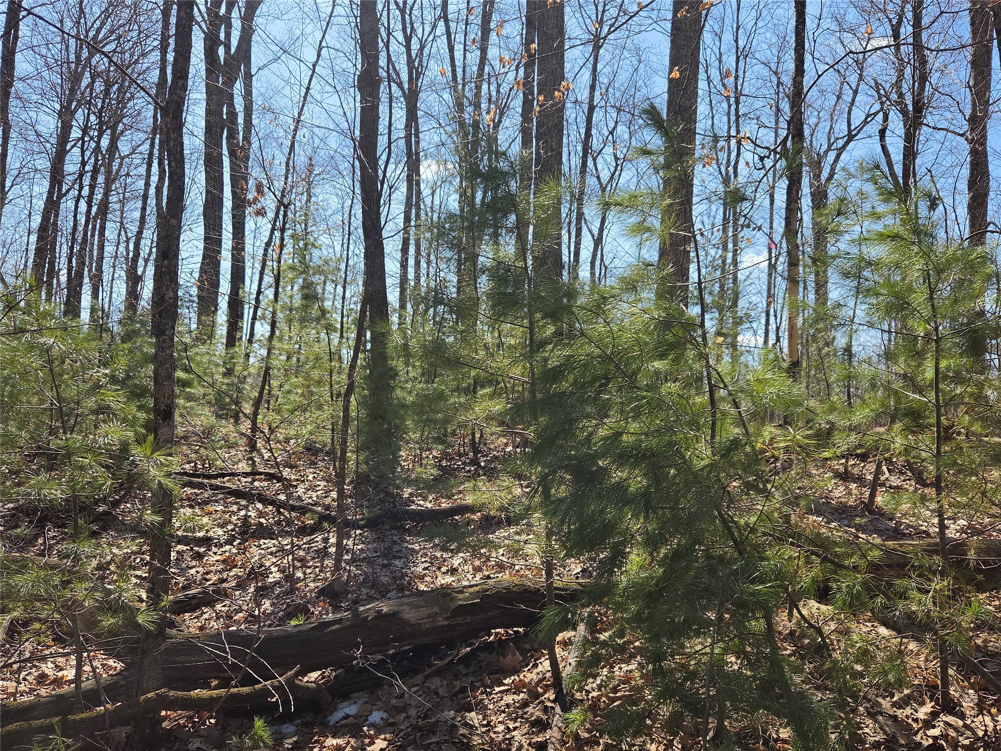 Lot 1 W South Shore Rd Hayward WI 54843 - Round Lake 1599896 image27