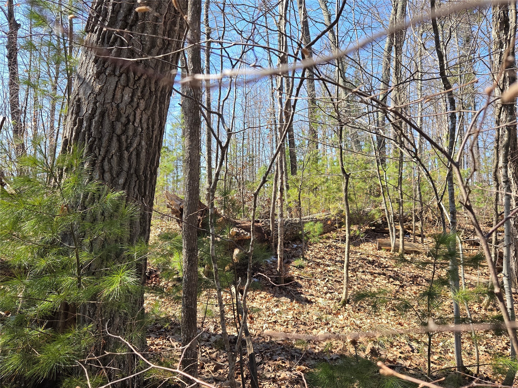 Lot 1 W South Shore Rd Hayward WI 54843 - Round Lake 1599896 image28