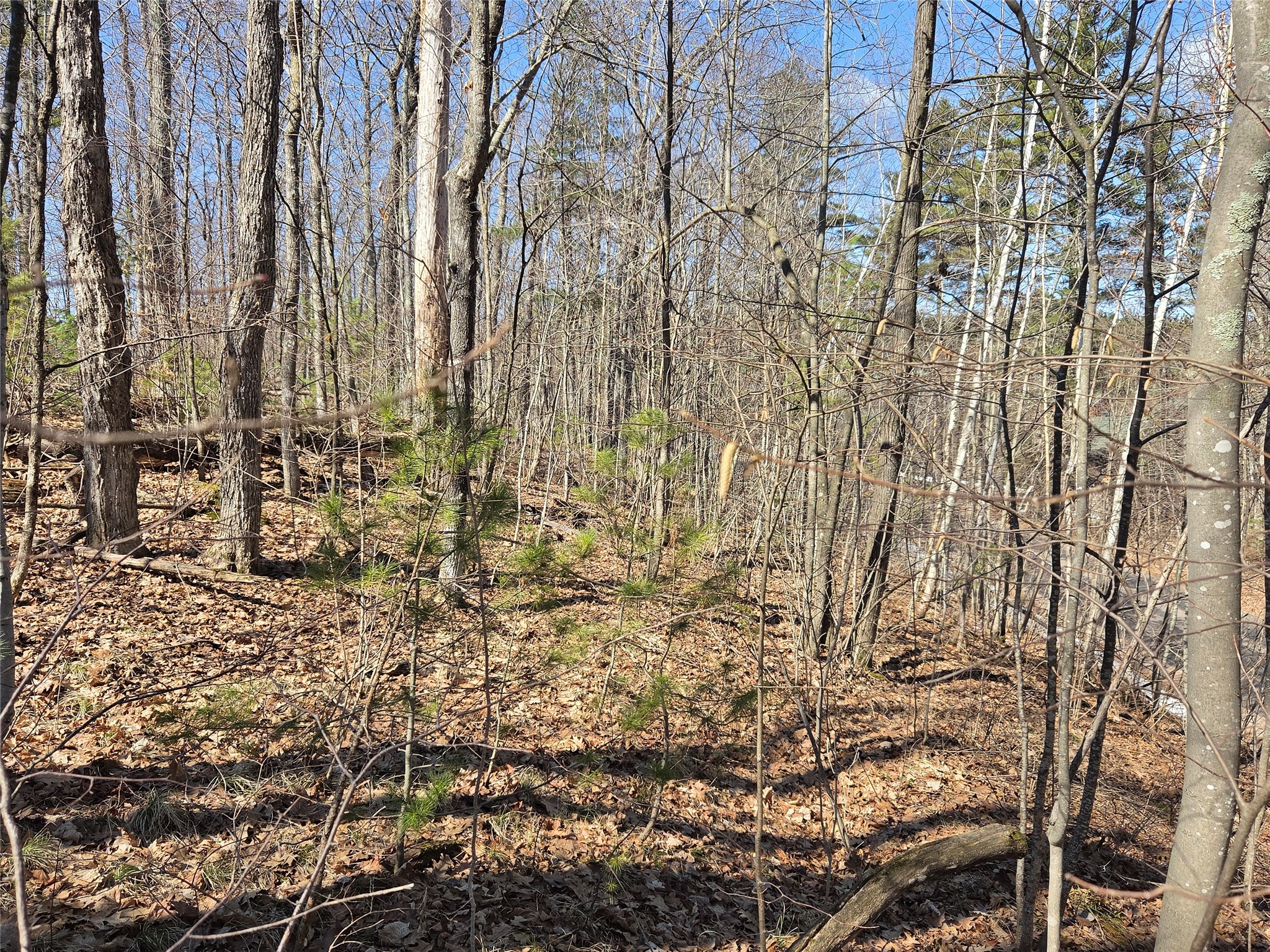 Lot 1 W South Shore Rd Hayward WI 54843 - Round Lake 1599896 image29