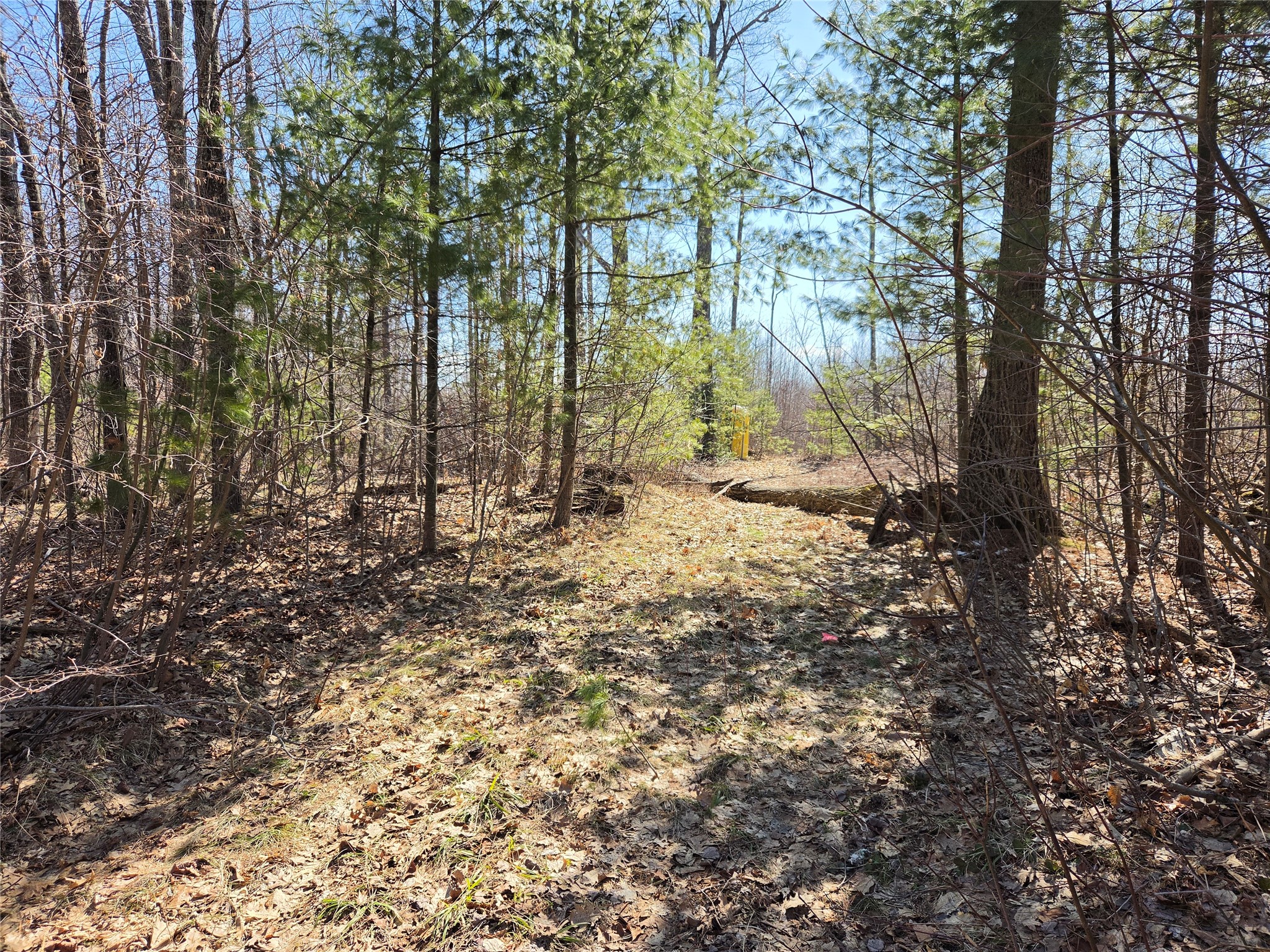Lot 1 W South Shore Rd Hayward WI 54843 - Round Lake 1599896 image3