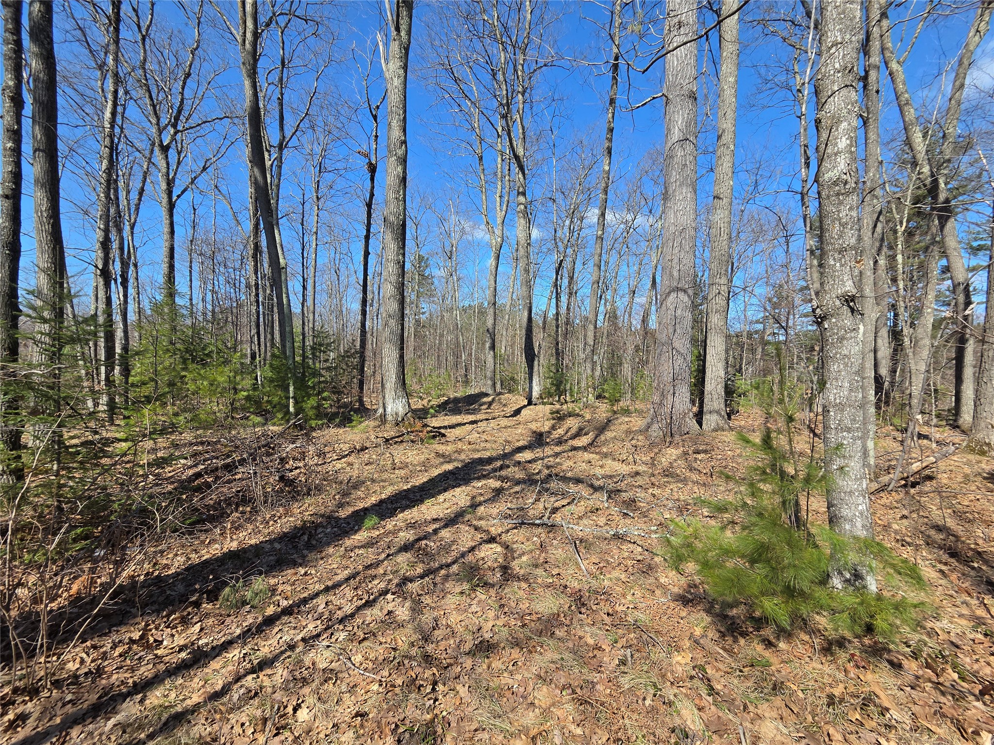 Lot 1 W South Shore Rd Hayward WI 54843 - Round Lake 1599896 image31
