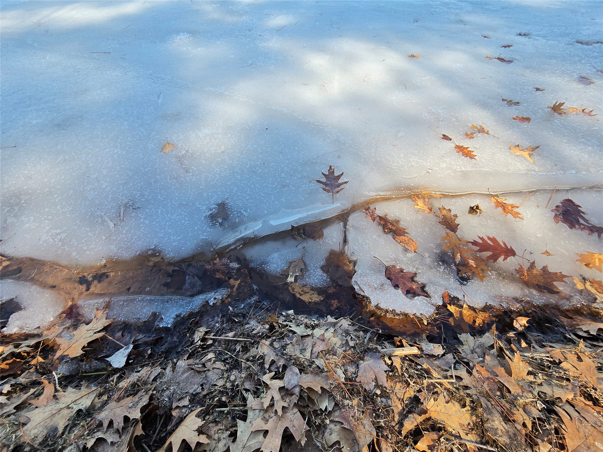 Lot 1 W South Shore Rd Hayward WI 54843 - Round Lake 1599896 image42