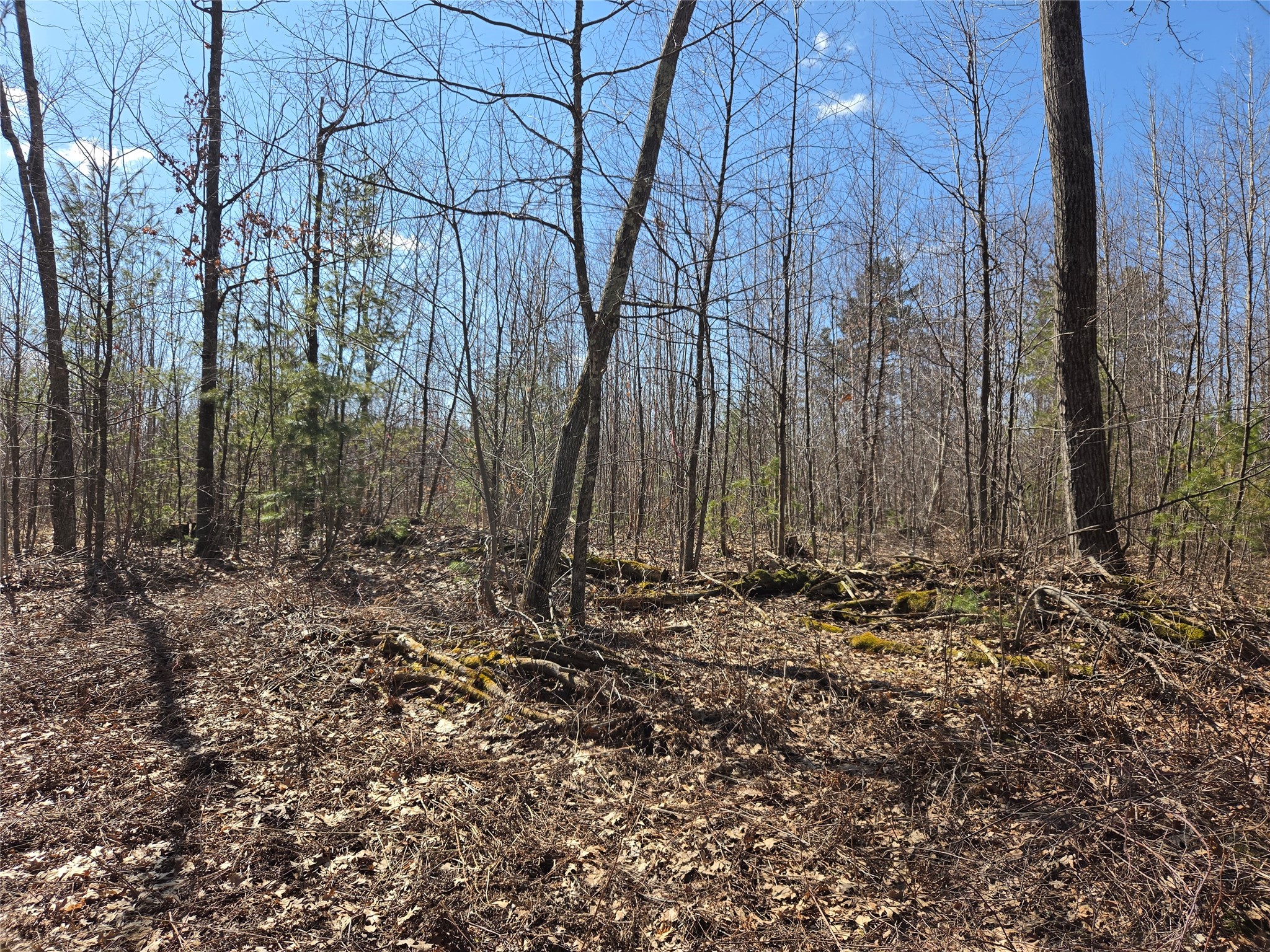 Lot 1 W South Shore Rd Hayward WI 54843 - Round Lake 1599896 image5
