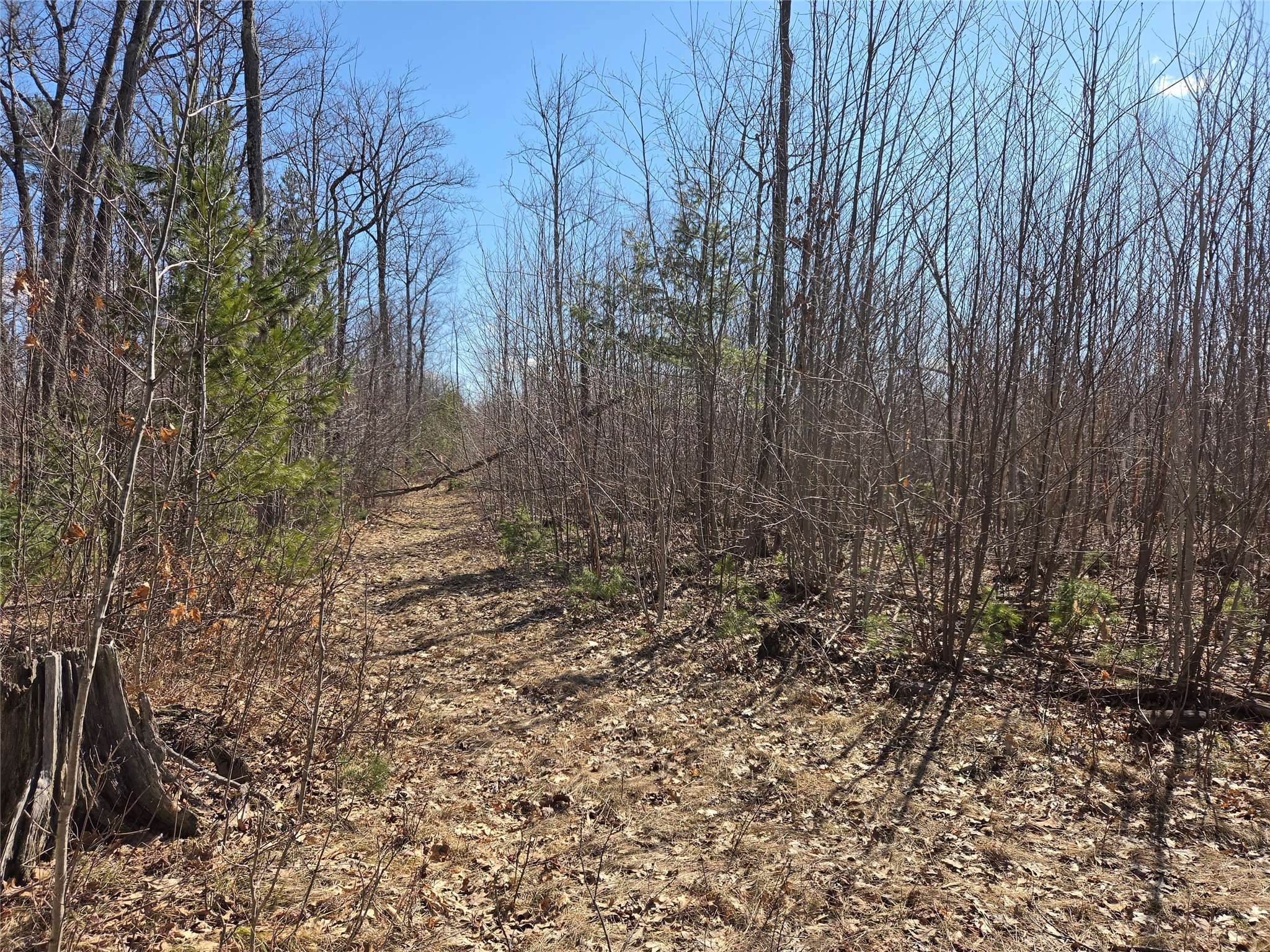 Lot 1 W South Shore Rd Hayward WI 54843 - Round Lake 1599896 image7