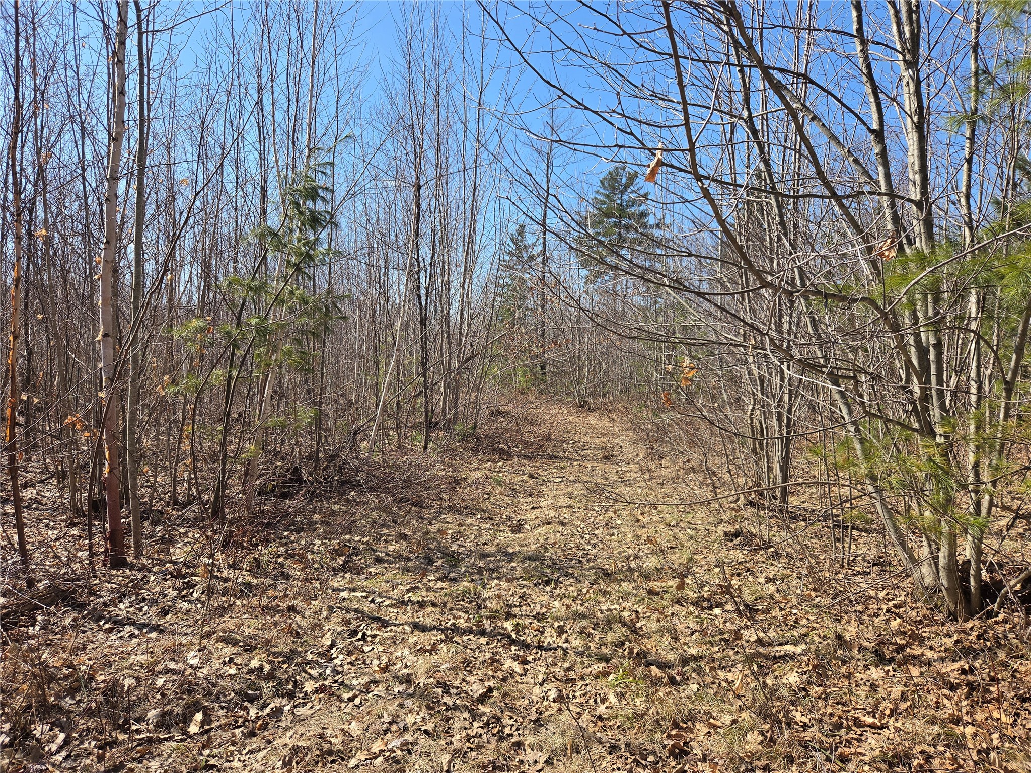 Lot 1 W South Shore Rd Hayward WI 54843 - Round Lake 1599896 image8