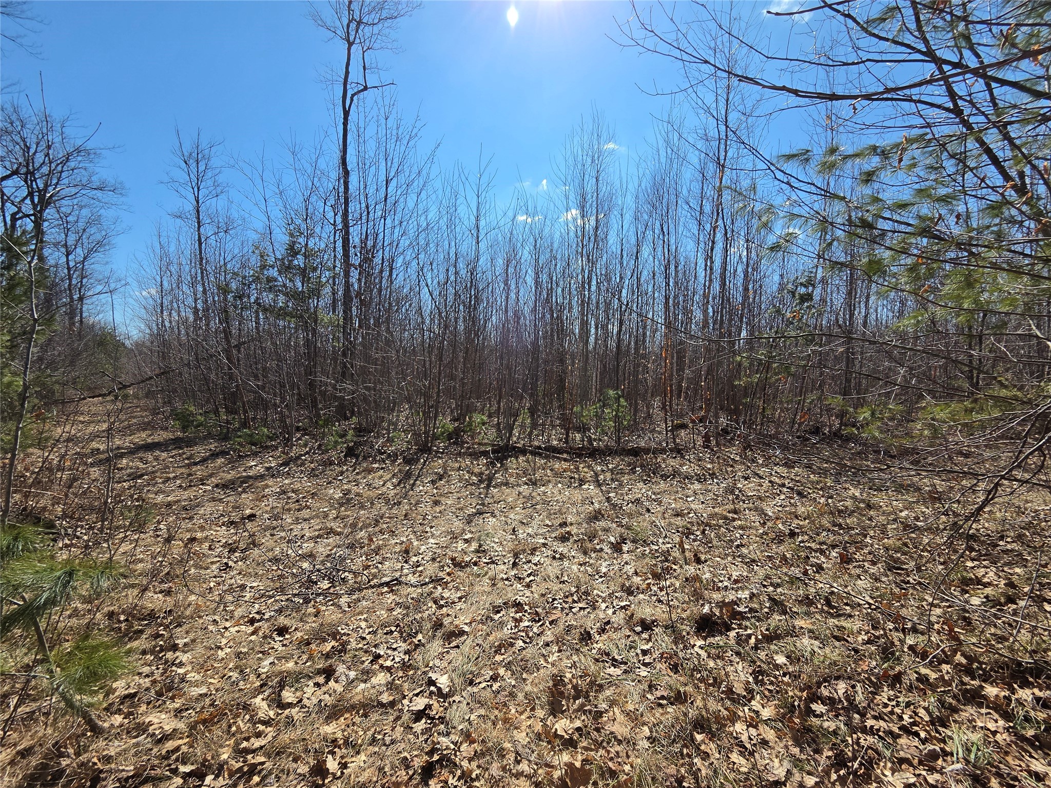 Lot 1 W South Shore Rd Hayward WI 54843 - Round Lake 1599896 image9