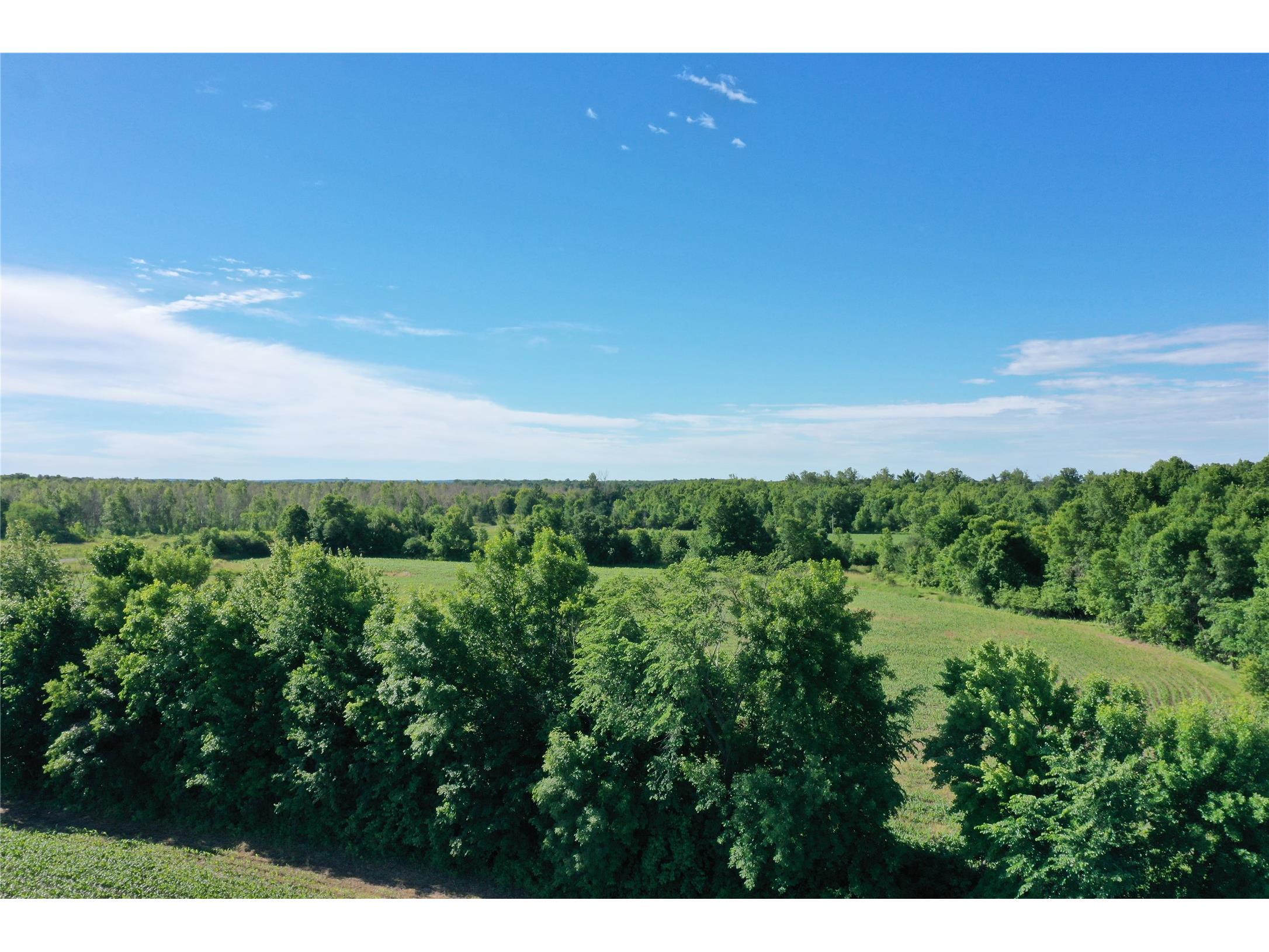 Lot 1 Williams Road Grantsburg WI 54840 - Isaac Lake 1602494 image3