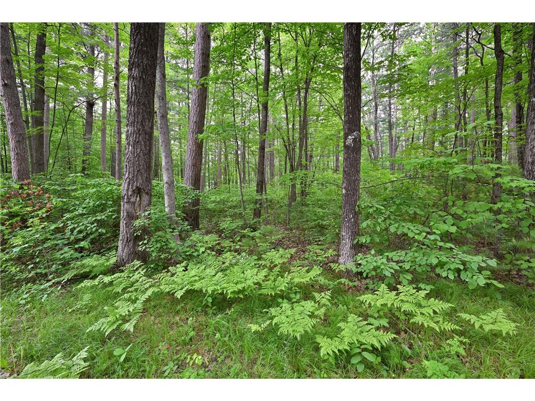 Lot 1 Woodland Avenue Hayward WI 54843 1592717 image2