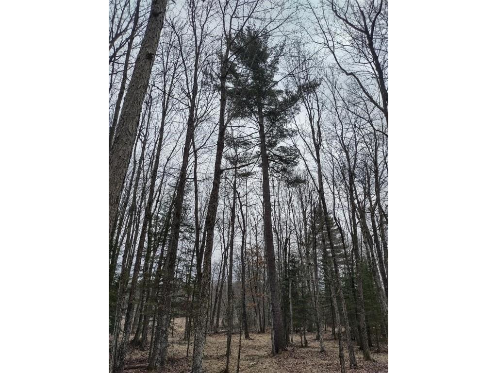 Lot 1 XXX Blaiszik's Bay Lane Hayward WI 54843 - Lake Chippewa Flowage 1590410 image1