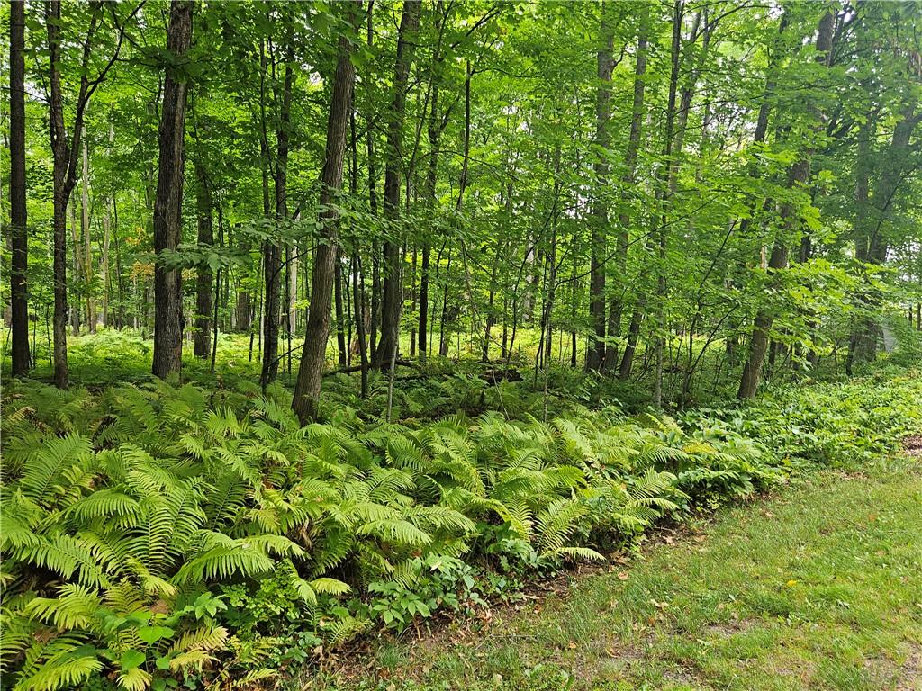 Lot 1 and 2 Linden Road Hayward WI 54843 - Round Lake 1576292 image1