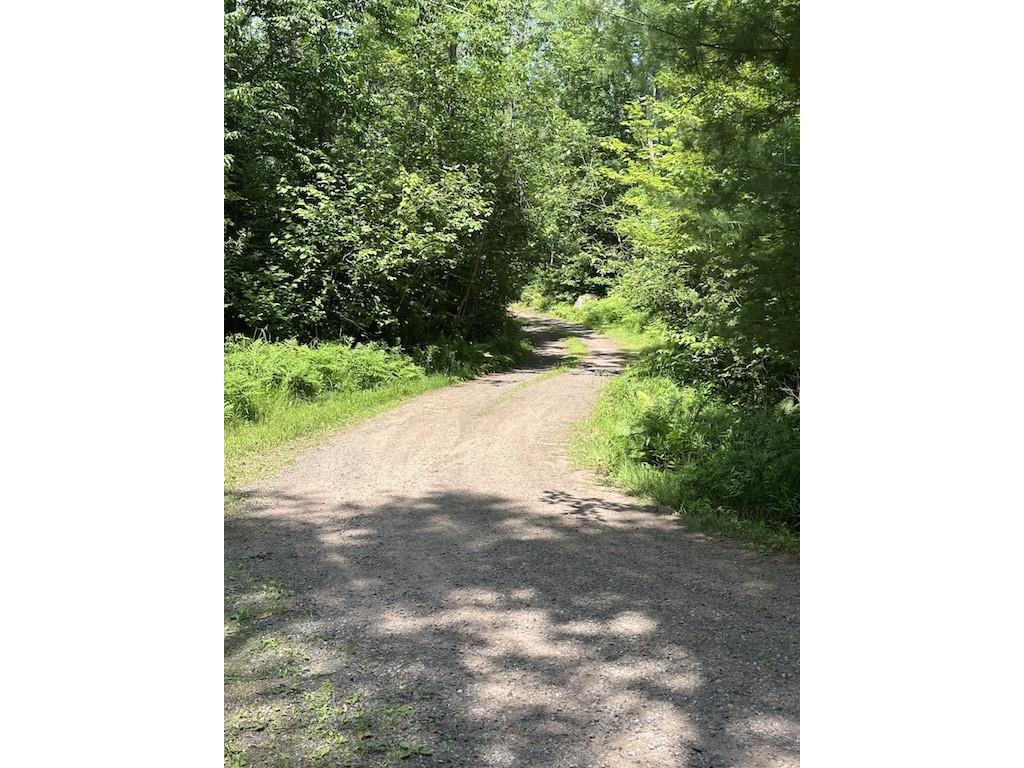 Lot 1 and Lot 2 Point Drive Hayward WI 54843 - Spring 1593285 image10