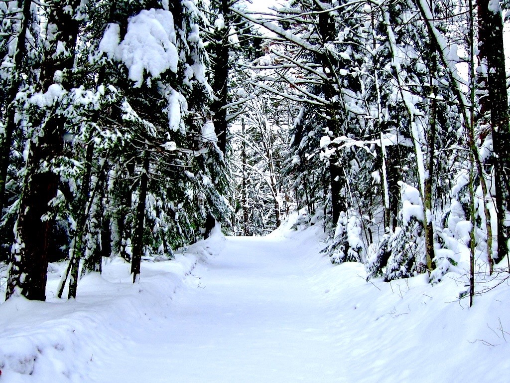 Lot 1 and Lot 2 Point Drive Hayward WI 54843 - Spring 1593285 image11