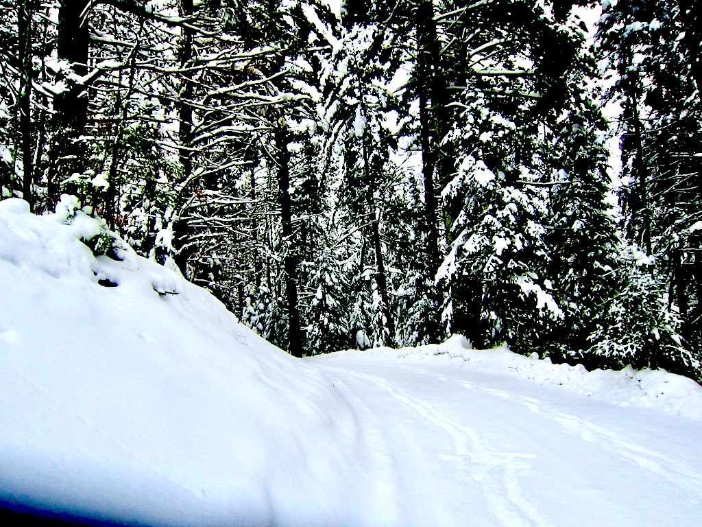 Lot 1 and Lot 2 Point Drive Hayward WI 54843 - Spring 1593285 image12