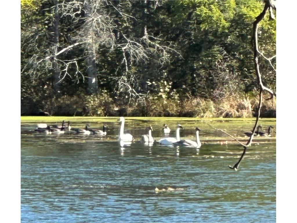 Lot 1 and Lot 2 Point Drive Hayward WI 54843 - Spring 1593285 image4