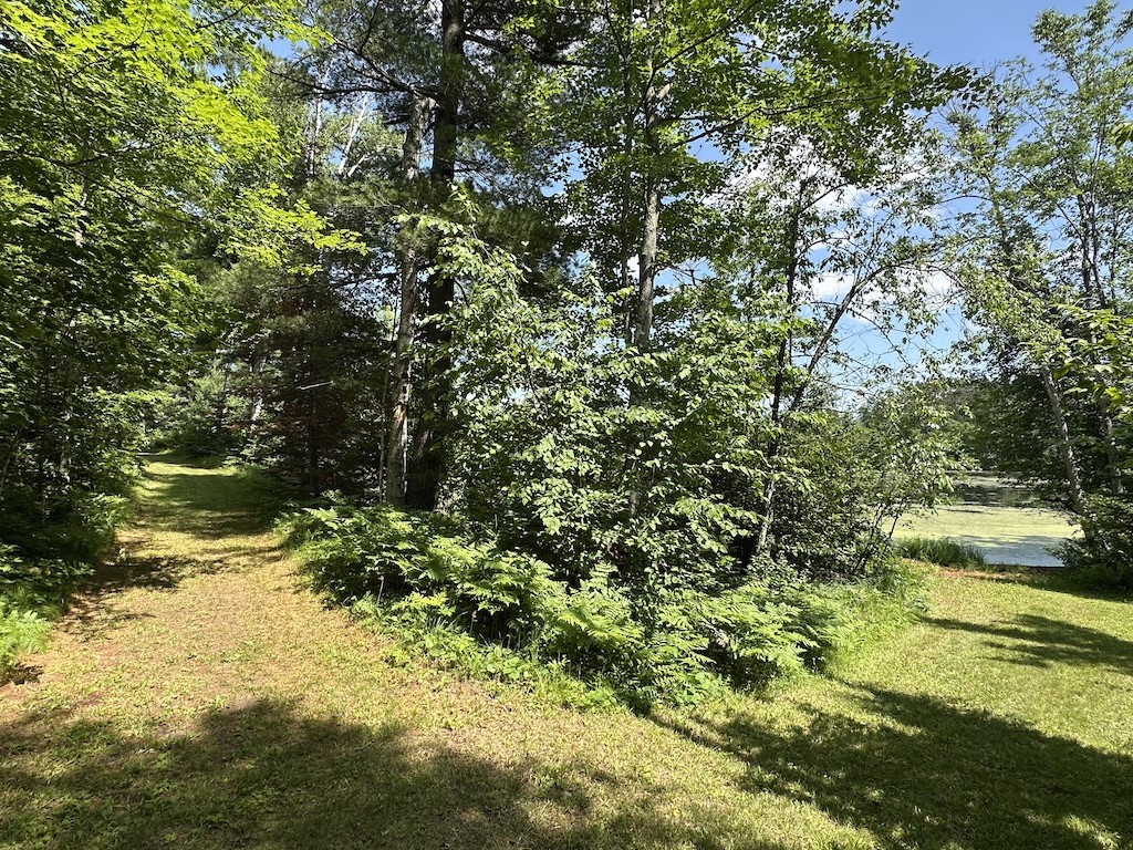 Lot 1 and Lot 2 Point Drive Hayward WI 54843 - Spring 1593285 image5