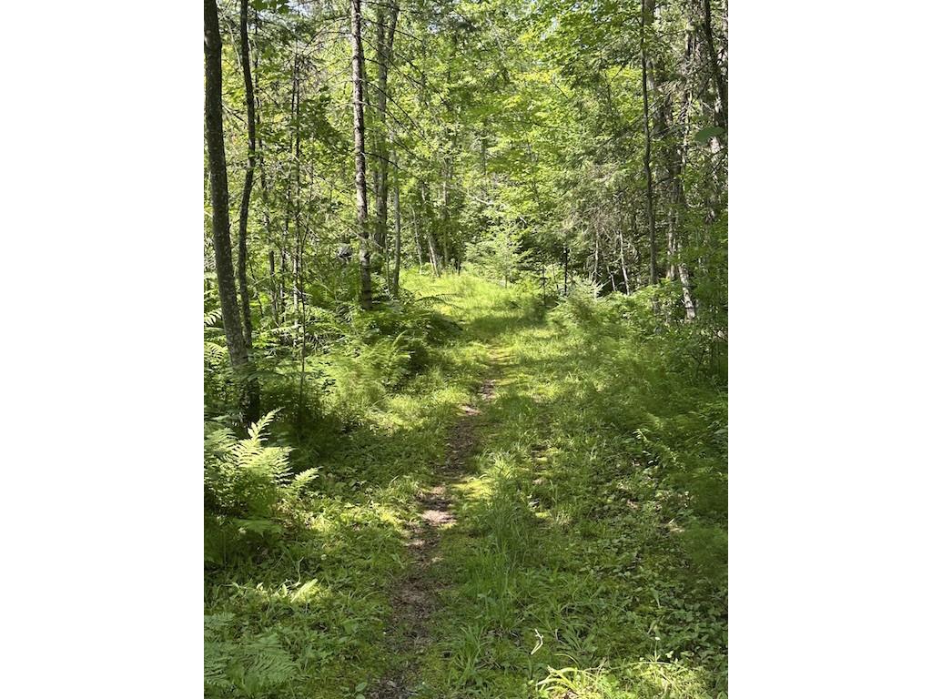 Lot 1 and Lot 2 Point Drive Hayward WI 54843 - Spring 1593285 image6